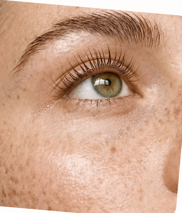 Gepflegte Wimpern nach Lash & Brow Lifting bei WunderDerm